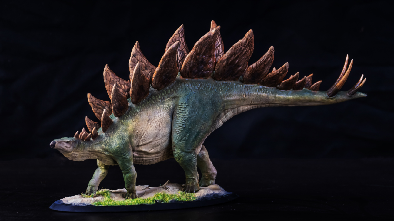 World's largest Stegosaurus fossil, Apex, sold at auction