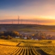 Global efforts to combat climate change with green technology