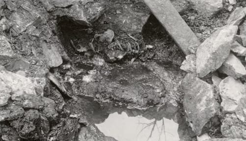 Uncovering the Past Ancient DNA Analysis Confirms Details from the Sverris Saga (1)