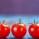 Gene-Edited Tomatoes with Enhanced Sweetness