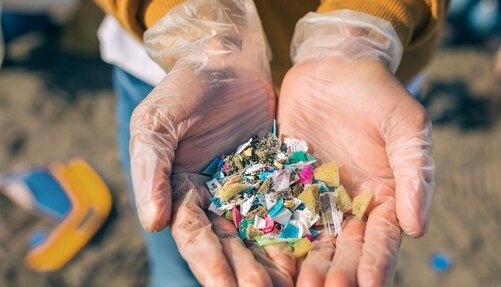 The Toxic Synergy of PFAS and Microplastics New Study Highlights Increased Dangers (1)