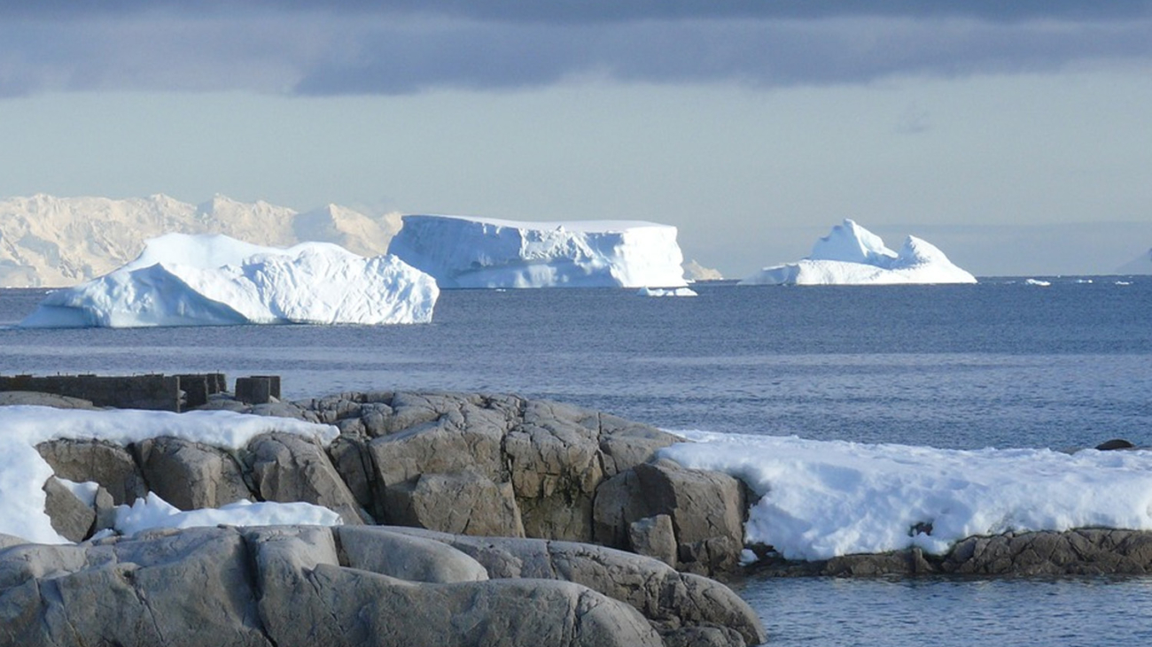 Unveiling Life Beneath Antarctica A Discovery That Could Redefine Life