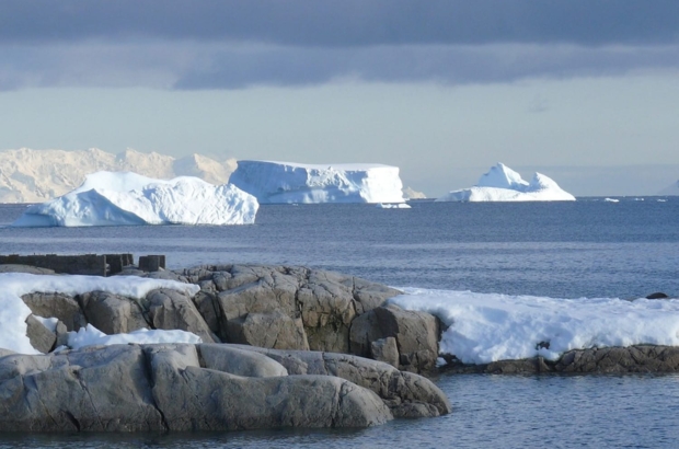 Unveiling Life Beneath Antarctica A Discovery That Could Redefine Life