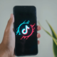 TikTok U.S. sale debate