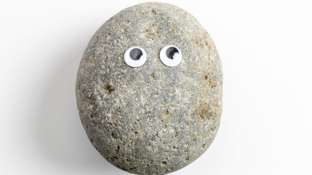 Weird Business Ideas That Became Million-Dollar Successes